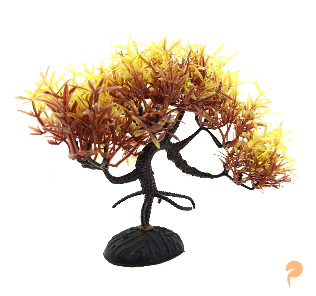 Фото1.Рослина-дерево, 13х4.5х22 см